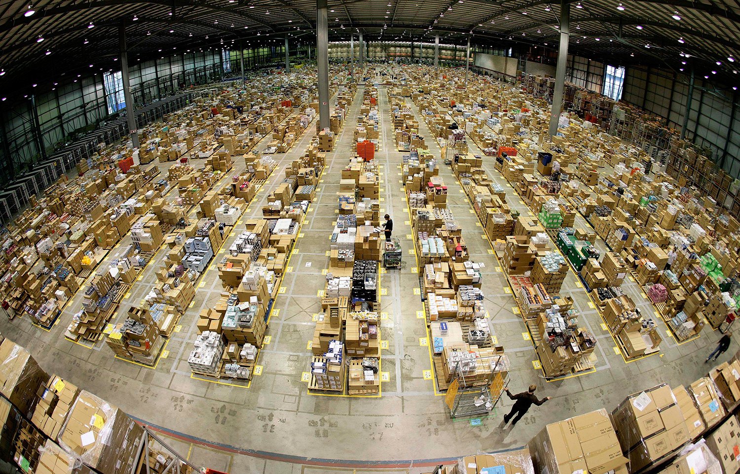 amazon
